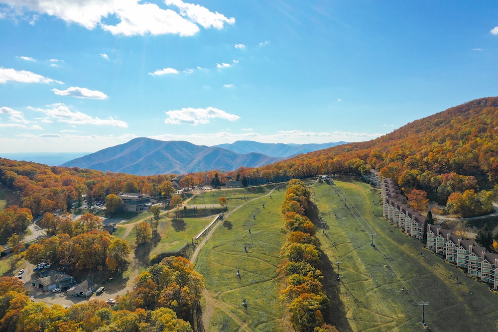 DJI_0455